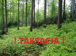 Taksacja terenowa lasów