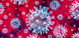 Stan epidemii